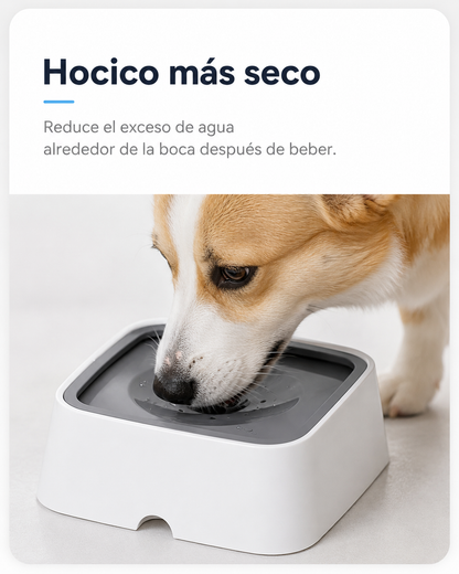 Bebedero Antiderrames AquaCalm™ para Perros y Gatos